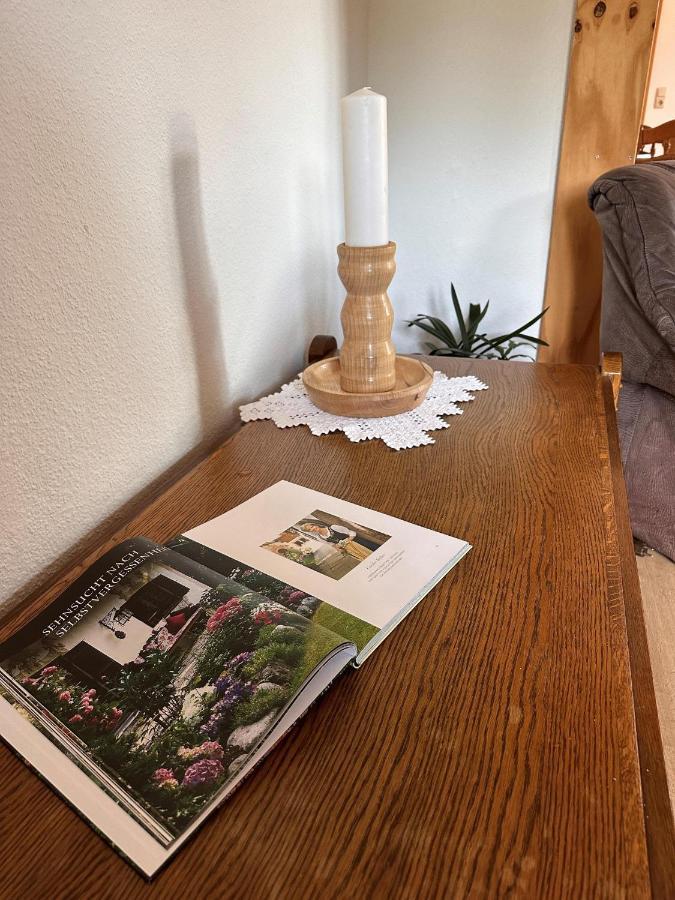 שנברדינגן Hof Baden, Ferienwohnung מראה חיצוני תמונה
